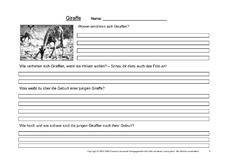 Giraffe-Fragen-4.pdf